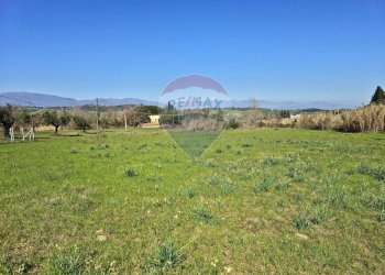 Giardino - Terreno edificabile contrada pezze, San Marco Argentano - foto 12