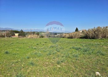 Giardino - Terreno edificabile contrada pezze, San Marco Argentano - foto 13