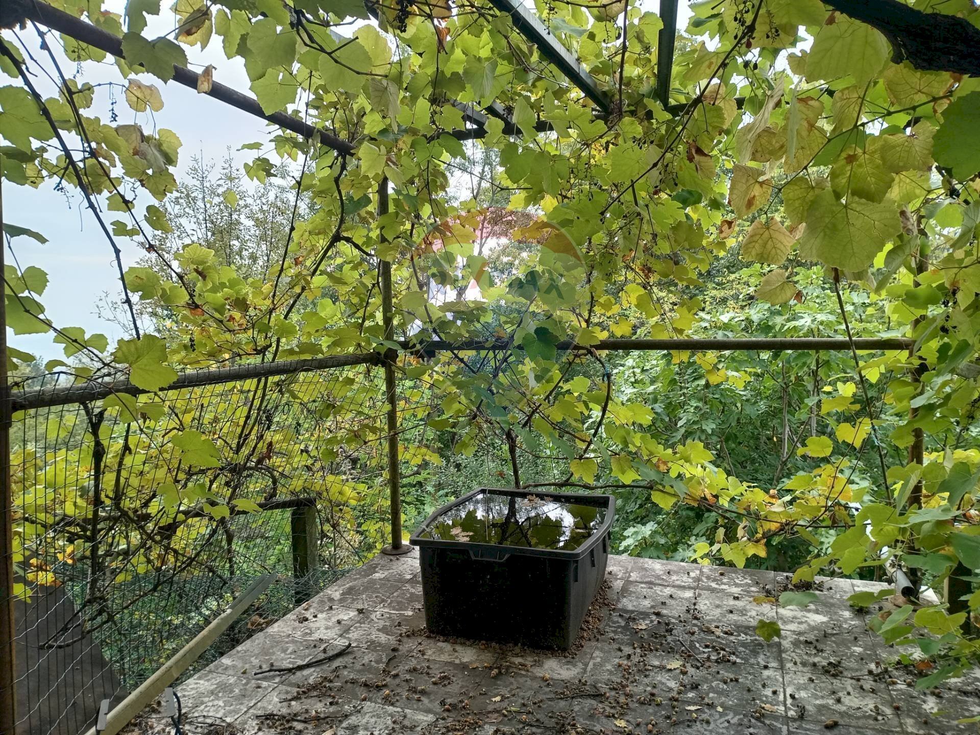 Giardino - Agricultural land Via Saretto, Cantalupa - photo 1