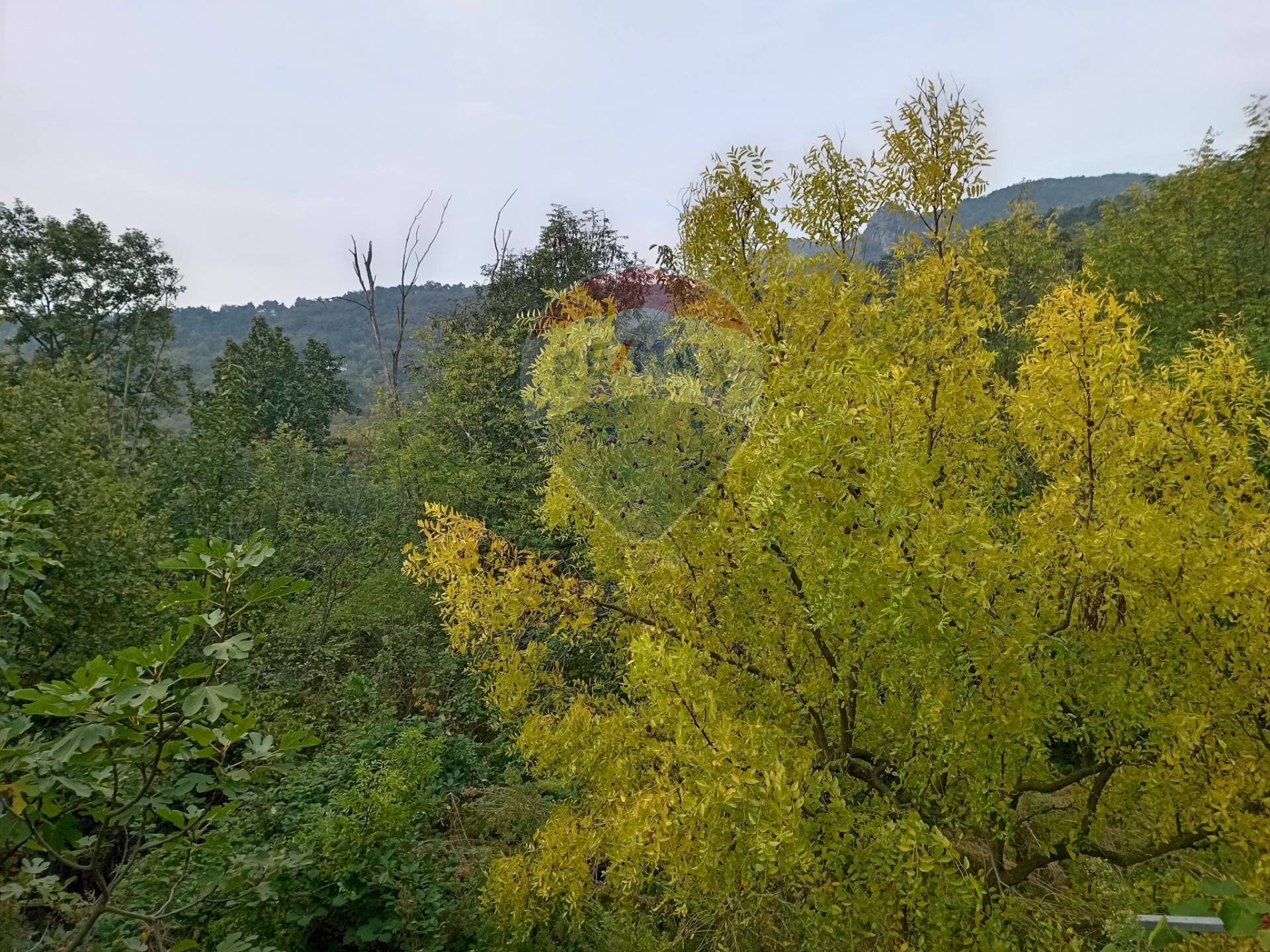 Vista delle montagne - Agricultural land Via Saretto, Cantalupa - photo 2