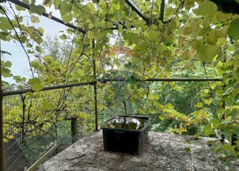 Giardino - Terreno agricolo Via Saretto, Cantalupa - foto 1