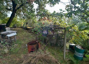 Giardino - Terreno agricolo Via Saretto, Cantalupa - foto 7