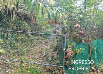 Giardino - Terreno agricolo Via Saretto, Cantalupa - foto 10