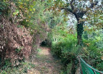 Giardino - Terreno agricolo Via Saretto, Cantalupa - foto 12