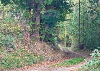 Giardino - Terreno agricolo Via Saretto, Cantalupa - foto 13