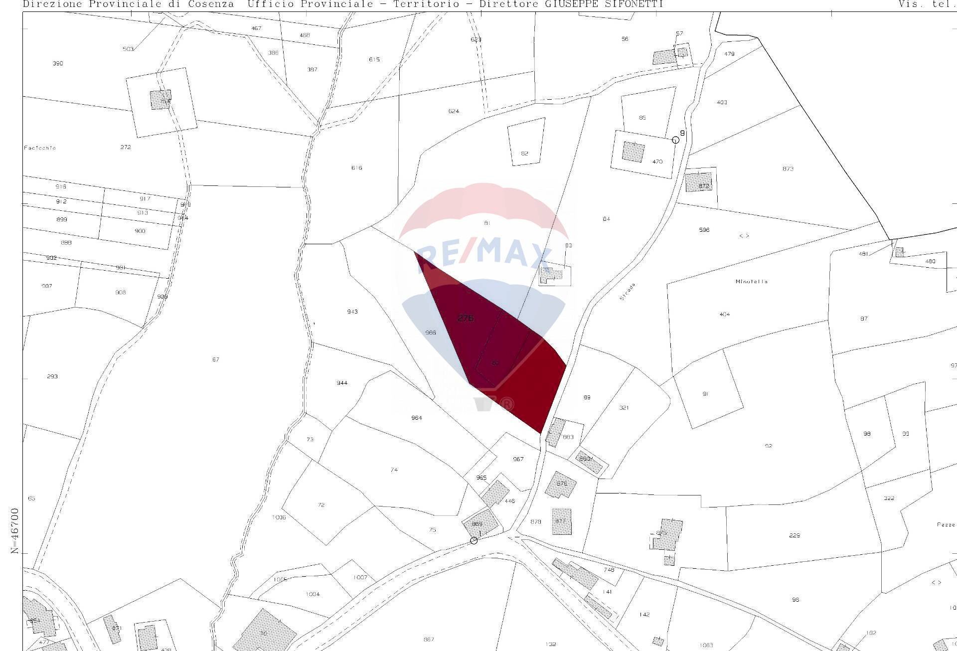 Pianta 2D - Terreno edificabile c/da Bonavita, San Marco Argentano - planimetria 1