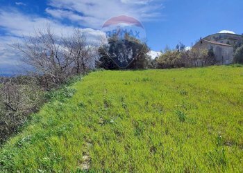 Giardino - Terreno edificabile c/da Bonavita, San Marco Argentano - foto 5