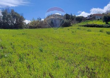Vista delle montagne - Terreno edificabile c/da Bonavita, San Marco Argentano - foto 7
