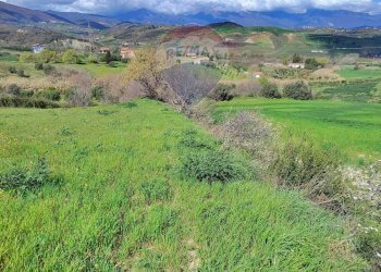 Vista delle montagne - Terreno edificabile c/da Bonavita, San Marco Argentano - foto 10
