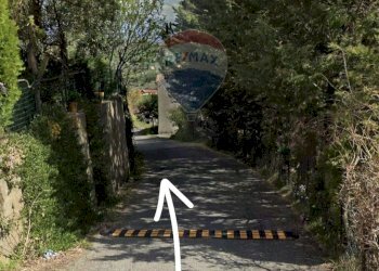 Giardino - Terreno edificabile c/da Bonavita, San Marco Argentano - foto 23