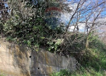 Giardino - Terreno edificabile c/da Bonavita, San Marco Argentano - foto 26