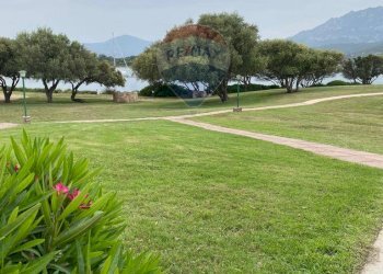 Giardino - Bilocale Via Sa Tazza, Olbia - foto 9