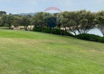 Giardino - Bilocale Via Sa Tazza, Olbia - foto 13