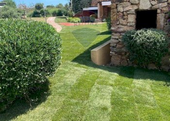 Giardino - Bilocale Via Sa Tazza, Olbia - foto 40
