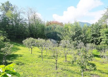 Giardino - Villa FRAZIONE FONTANELLE
 
1, Reano - photo 9
