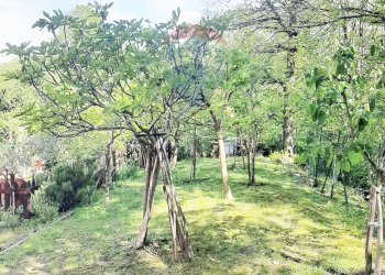 Giardino - Villa FRAZIONE FONTANELLE
 
1, Reano - photo 28