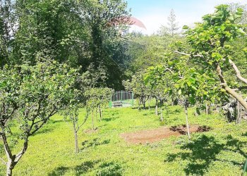 Giardino - Villa FRAZIONE FONTANELLE
 
1, Reano - photo 31