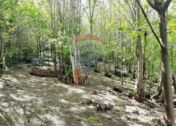 Giardino - Villa FRAZIONE FONTANELLE
 
1, Reano - photo 35