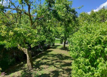 Giardino - Villa FRAZIONE FONTANELLE
 
1, Reano - photo 25