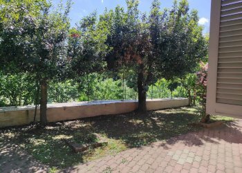 Giardino - Villa FRAZIONE FONTANELLE
 
1, Reano - photo 32