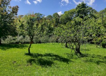 Giardino - Villa FRAZIONE FONTANELLE
 
1, Reano - photo 40