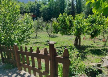 Giardino - Villa FRAZIONE FONTANELLE
 
1, Reano - photo 44