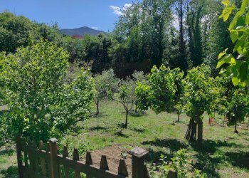 Giardino - Villa FRAZIONE FONTANELLE
 
1, Reano - photo 45
