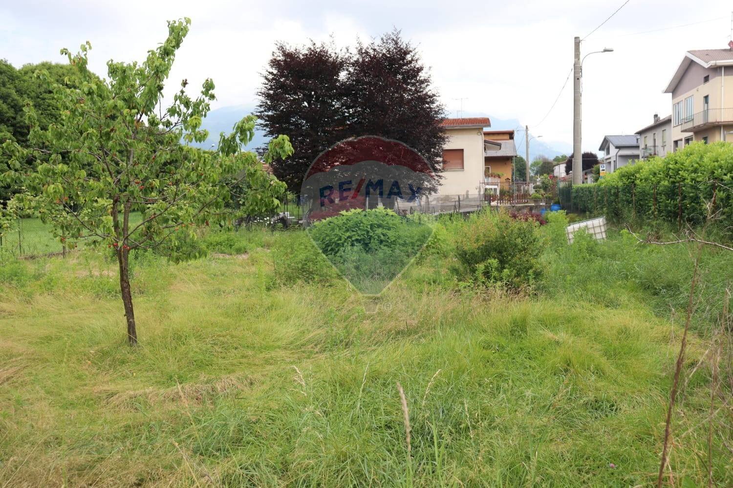 Giardino - Terreno agricolo via Aldo Moro, Molteno - foto 1