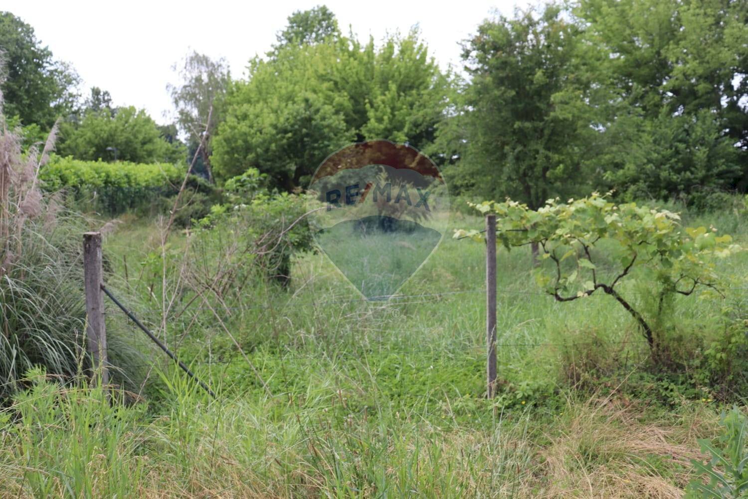 Giardino - Terreno agricolo via Aldo Moro, Molteno - foto 2