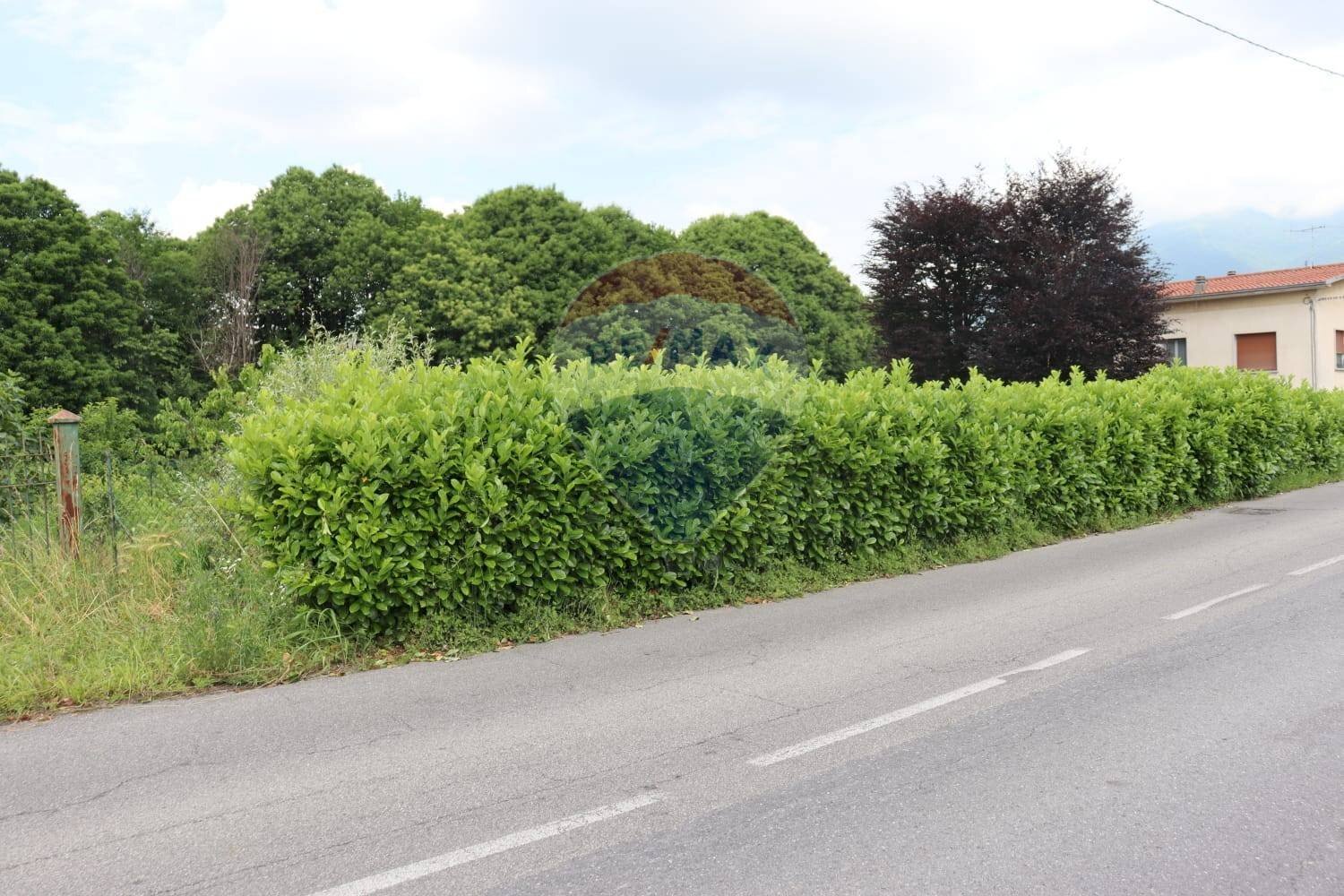 Giardino - Terreno agricolo via Aldo Moro, Molteno - foto 3