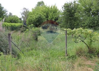 Giardino - Terreno agricolo via Aldo Moro, Molteno - foto 2