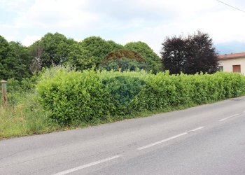 Giardino - Terreno agricolo via Aldo Moro, Molteno - foto 3