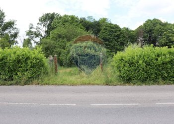 Giardino - Terreno agricolo via Aldo Moro, Molteno - foto 5