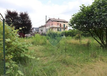 Giardino - Terreno agricolo via Aldo Moro, Molteno - foto 6