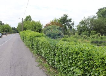 Giardino - Terreno agricolo via Aldo Moro, Molteno - foto 10