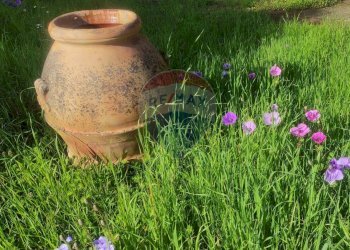 Dettagli - Villa Montespertoli - foto 35