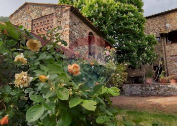 Giardino - Rustico Barberino Tavarnelle - foto 1