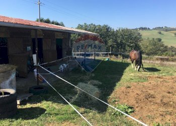 Giardino - Rustico Barberino Tavarnelle - foto 22