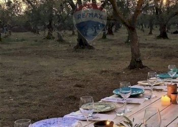 Giardino - Rustico Barberino Tavarnelle - foto 25