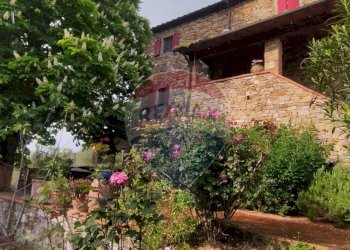 Giardino - Rustico Barberino Tavarnelle - foto 38