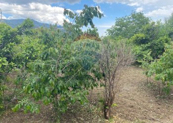 Giardino - Apartment via oberdan, Francavilla di Sicilia - photo 15
