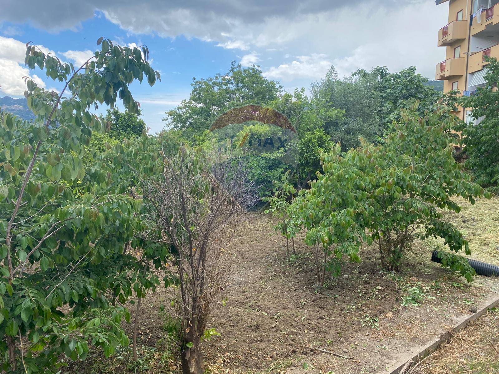 Giardino - Terreno edificabile via oberdan, Francavilla di Sicilia - foto 2