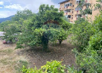 Giardino - Terreno edificabile via oberdan, Francavilla di Sicilia - foto 7