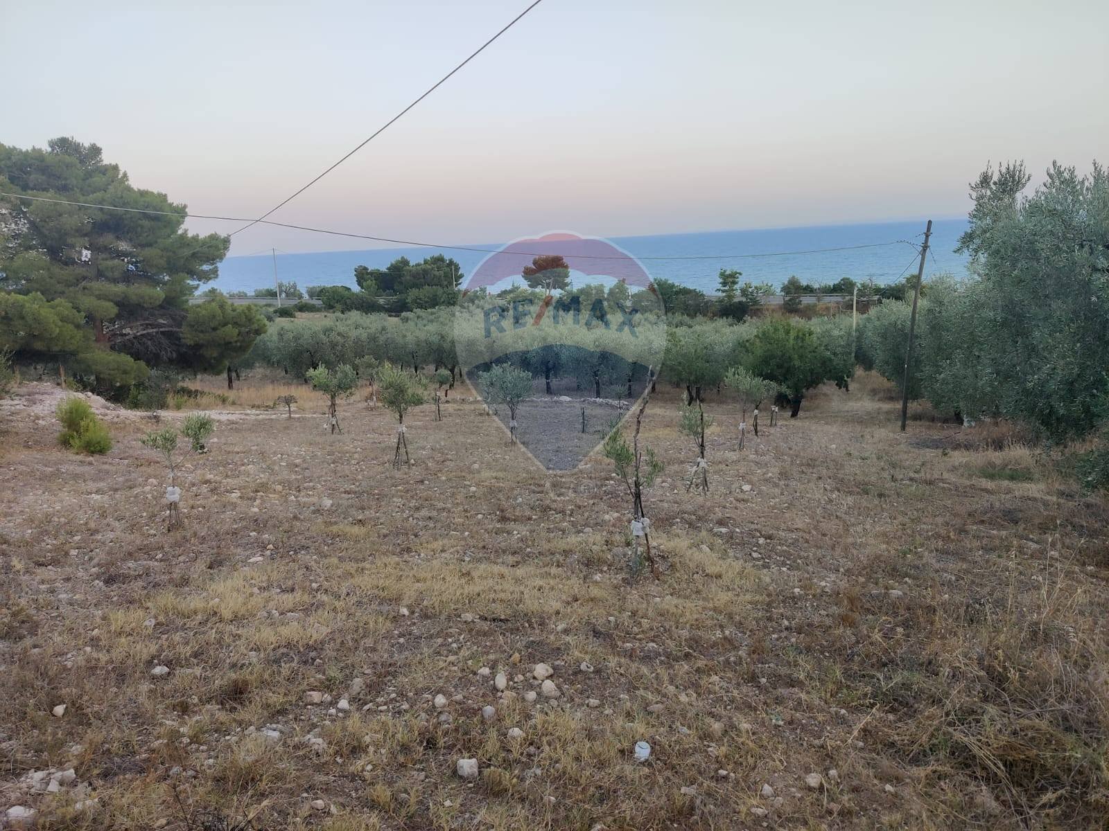Vista delle montagne - Agricultural land Via Contrada Gravaglione
 
SNC, Mattinata - photo 2