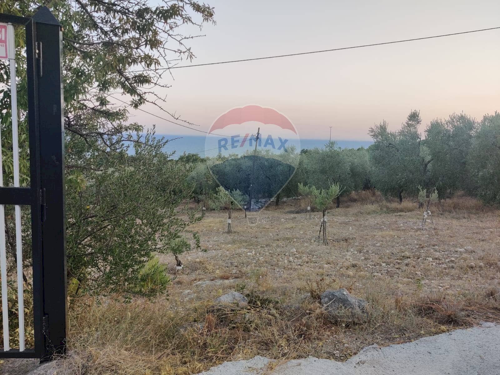 Vista delle montagne - Agricultural land Via Contrada Gravaglione
 
SNC, Mattinata - photo 3