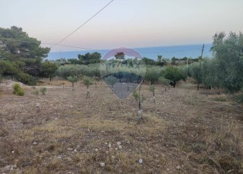 Vista delle montagne - Terreno agricolo Via Contrada Gravaglione
 
SNC, Mattinata - foto 2