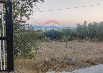 Vista delle montagne - Terreno agricolo Via Contrada Gravaglione
 
SNC, Mattinata - foto 3