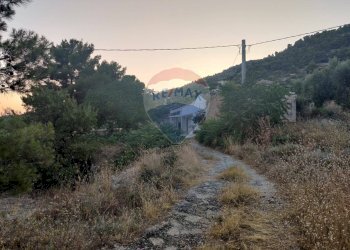 Vista delle montagne - Terreno agricolo Via Contrada Gravaglione
 
SNC, Mattinata - foto 5