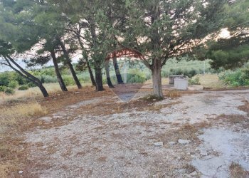 Giardino - Terreno agricolo Via Contrada Gravaglione
 
SNC, Mattinata - foto 15