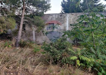 Giardino - Terreno agricolo Via Contrada Gravaglione
 
SNC, Mattinata - foto 16